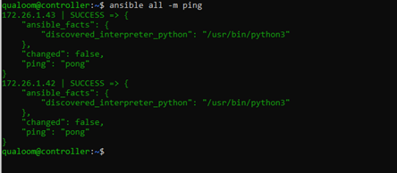 Pantalla de computadora mostrando texto en verde sobre un fondo claro.