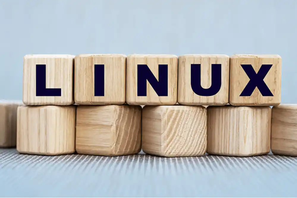 Diferencias clave entre los comandos sudo: Tipos y utilización en Linux